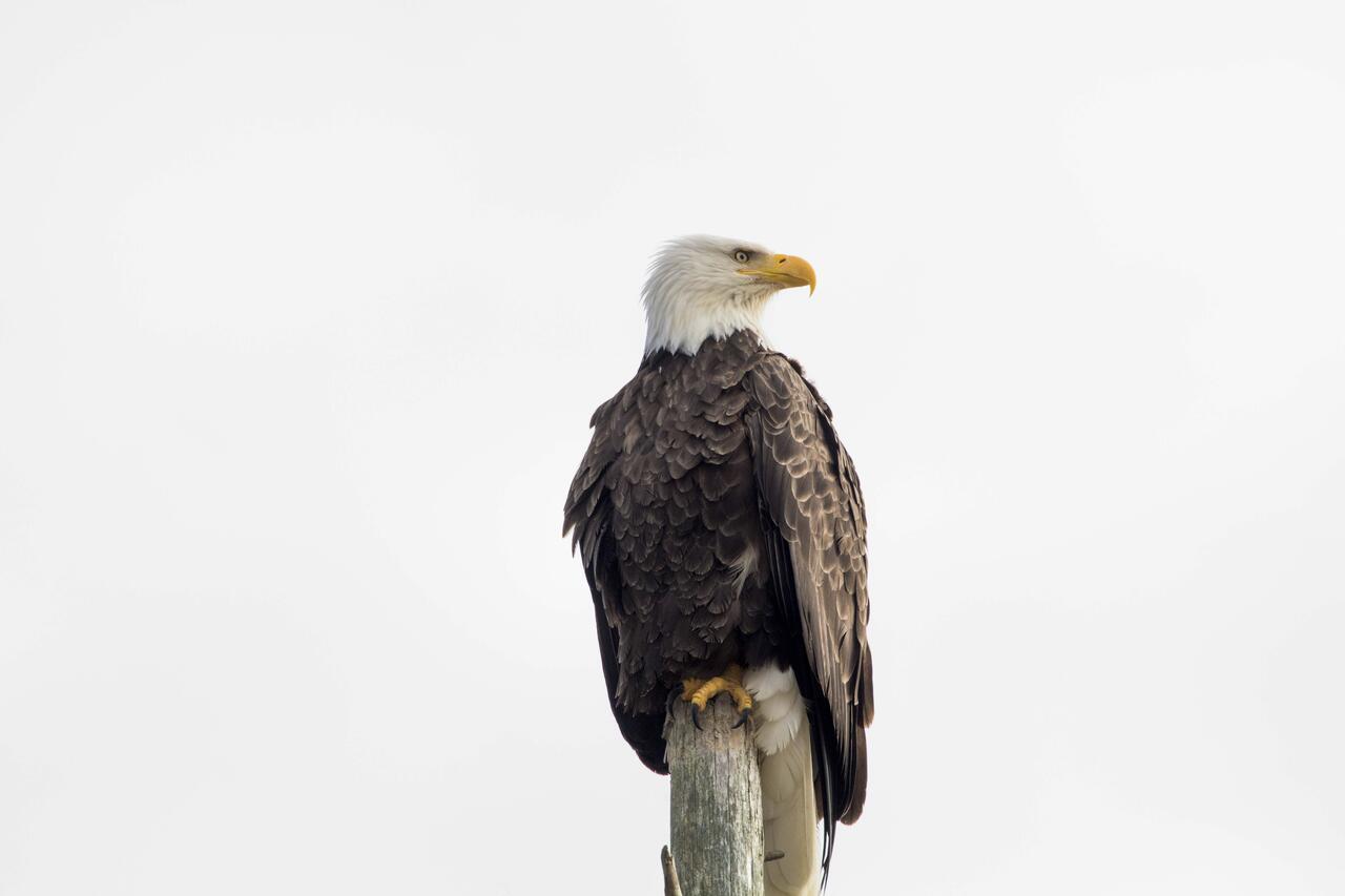 Eagles View Condo In Ocean Shores With 3 Balconies Extérieur photo