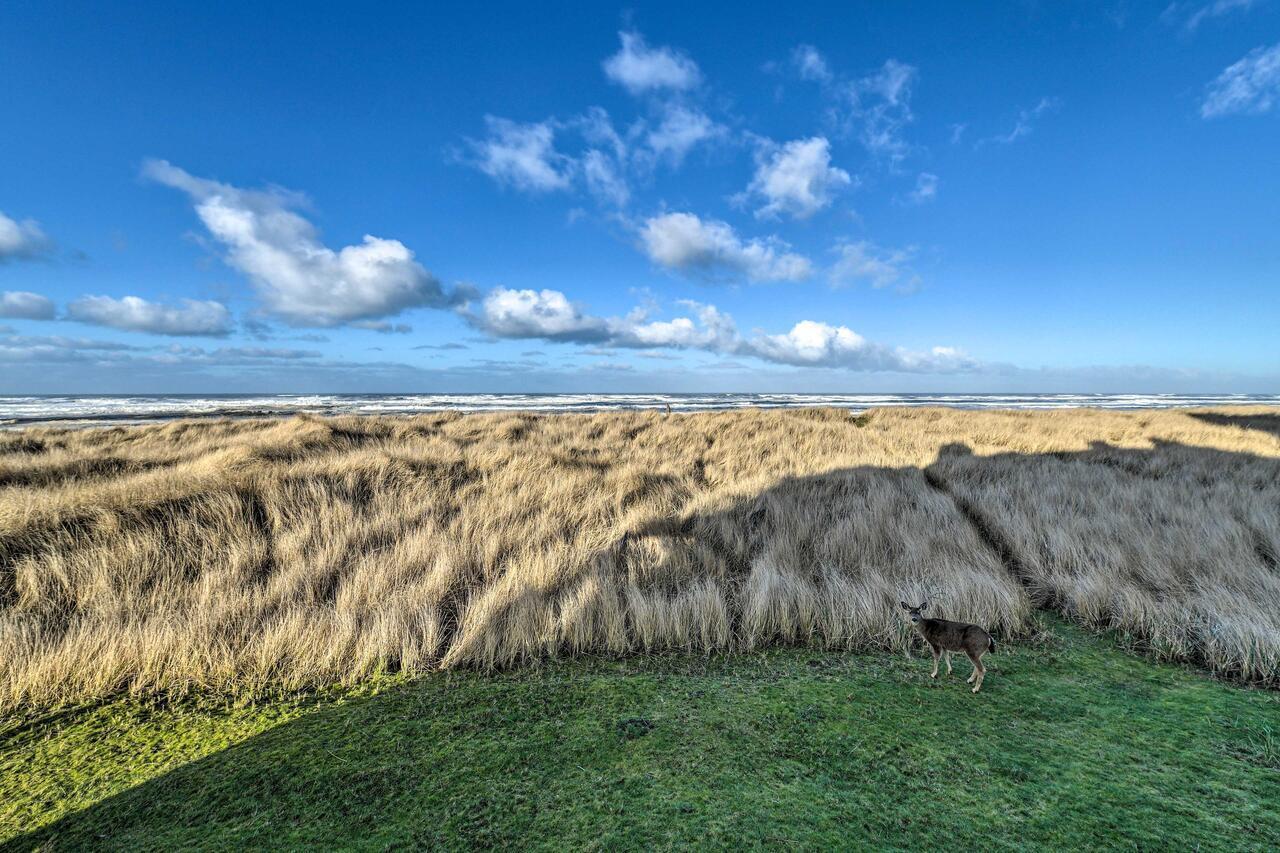 Eagles View Condo In Ocean Shores With 3 Balconies Extérieur photo